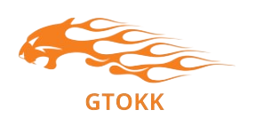 Gtokk Puntos